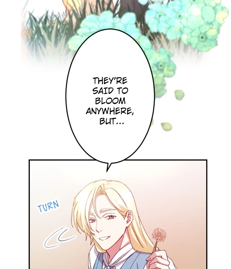 ch 15 59