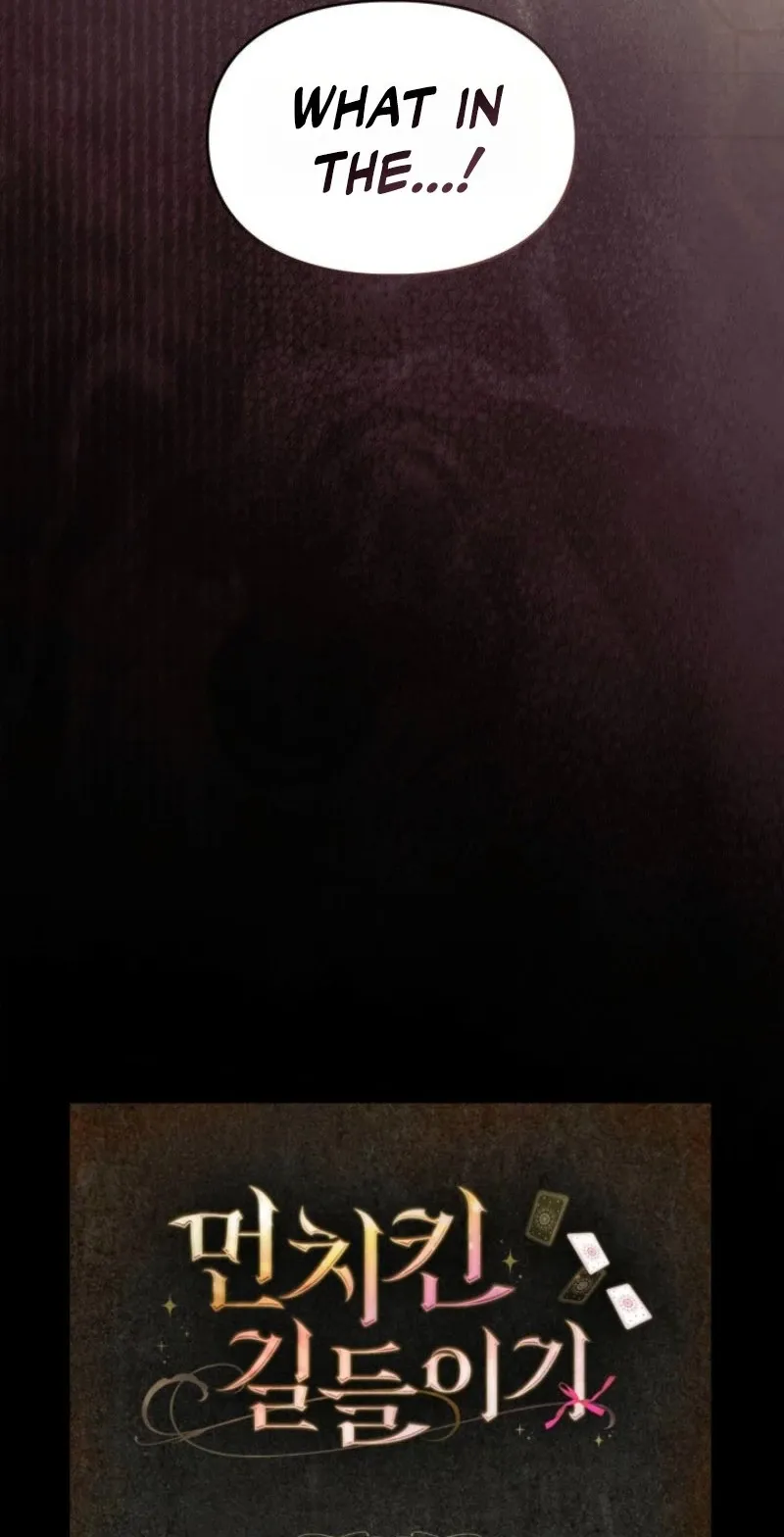 1e8574a7d4ce