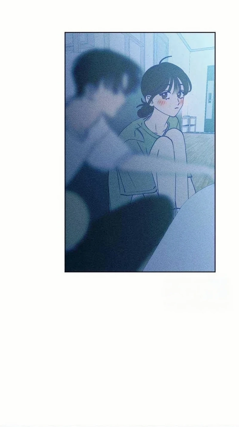 45d506486d2e