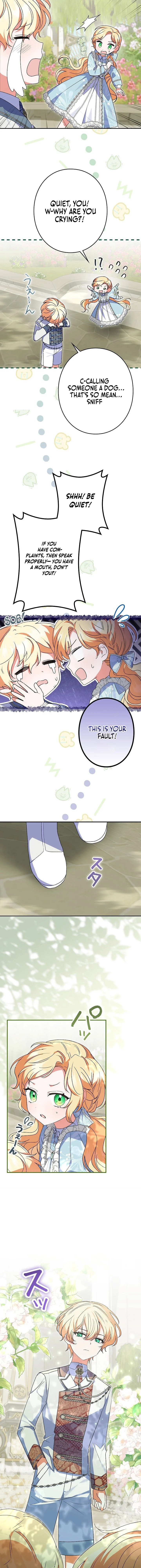 ch 14 11