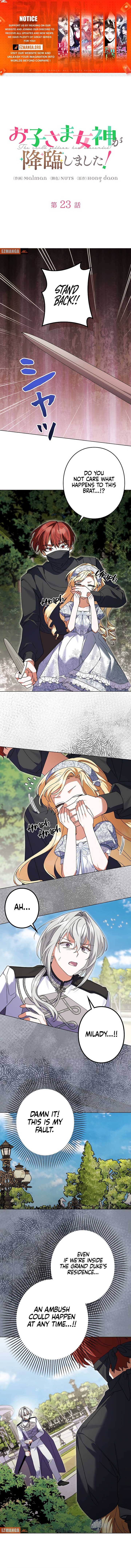 ch 23 1