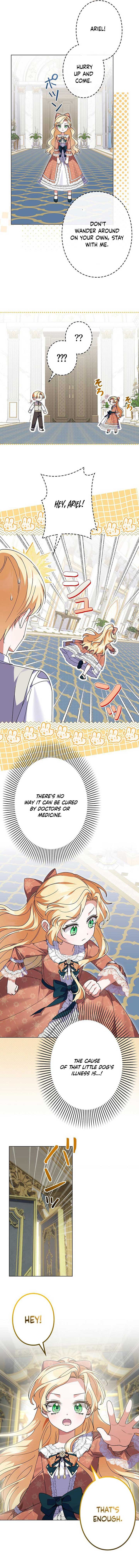 ch 26 6