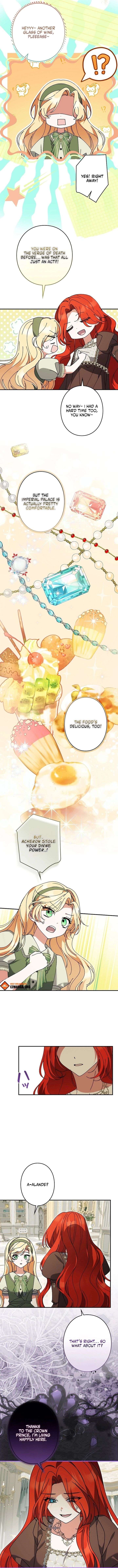 ch 49 5