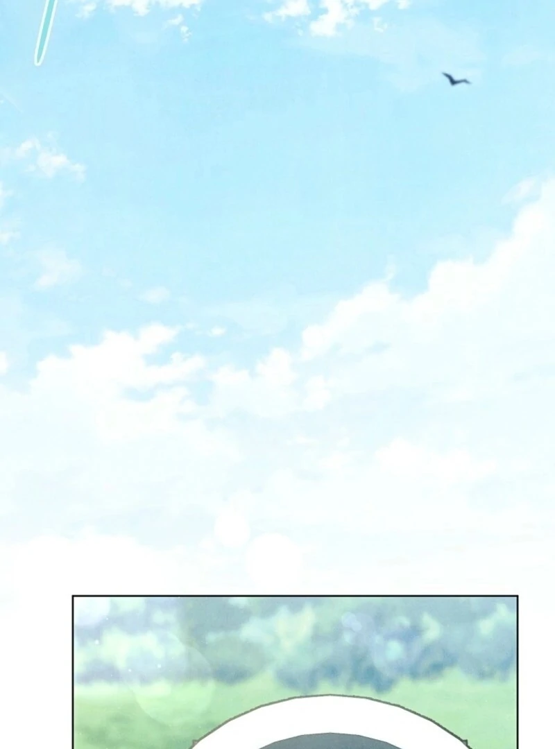 ch 37 82