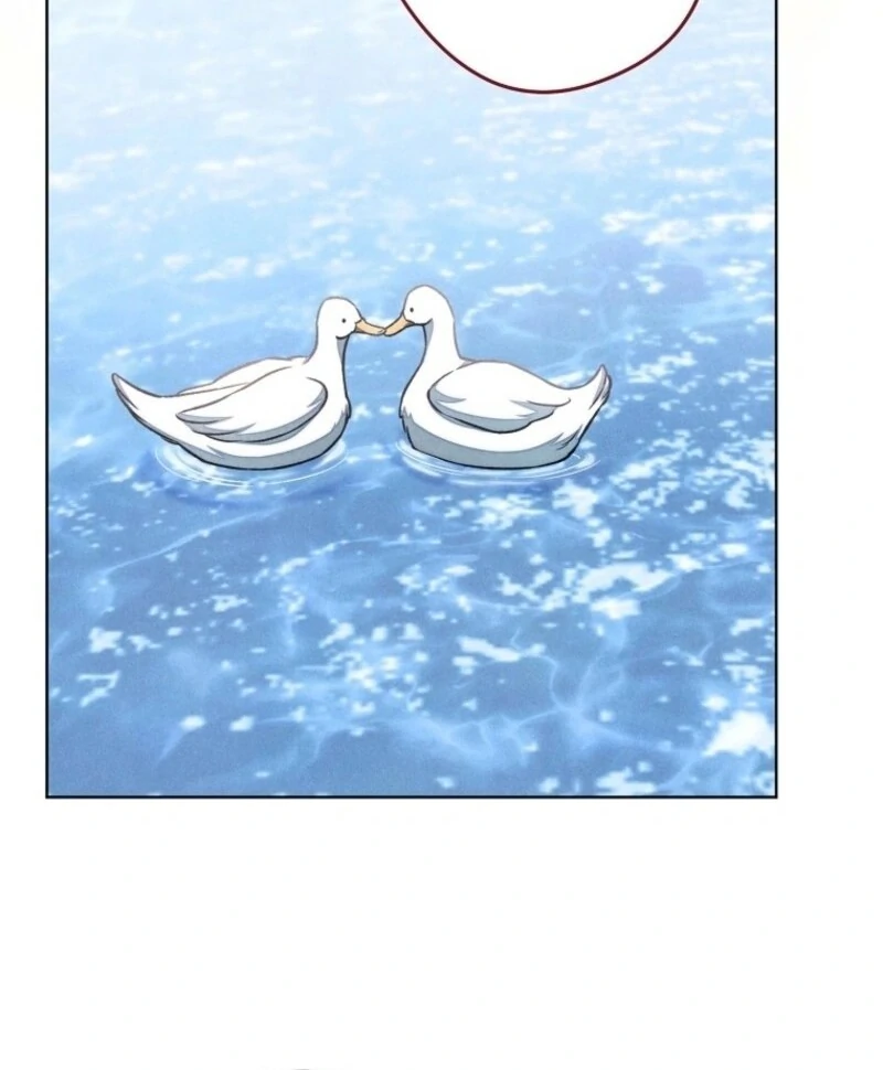 ch 37 91