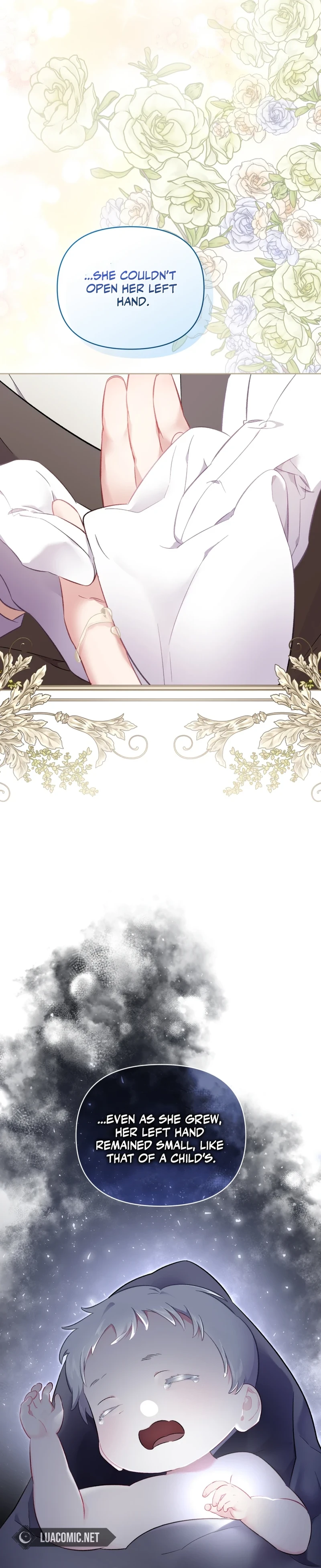 ch 19 11