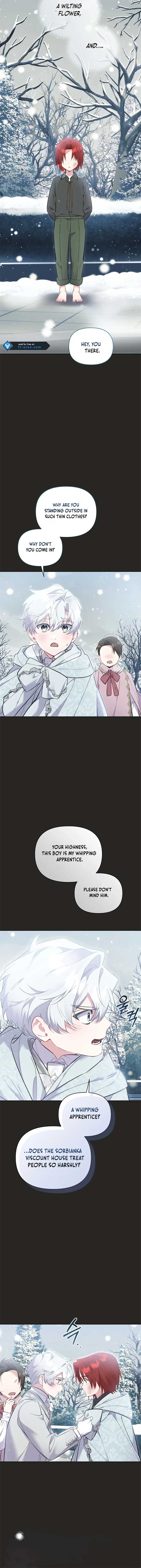 ch 34 3