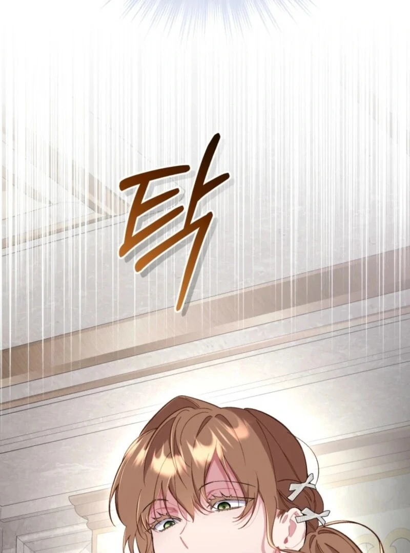 ch 36 6