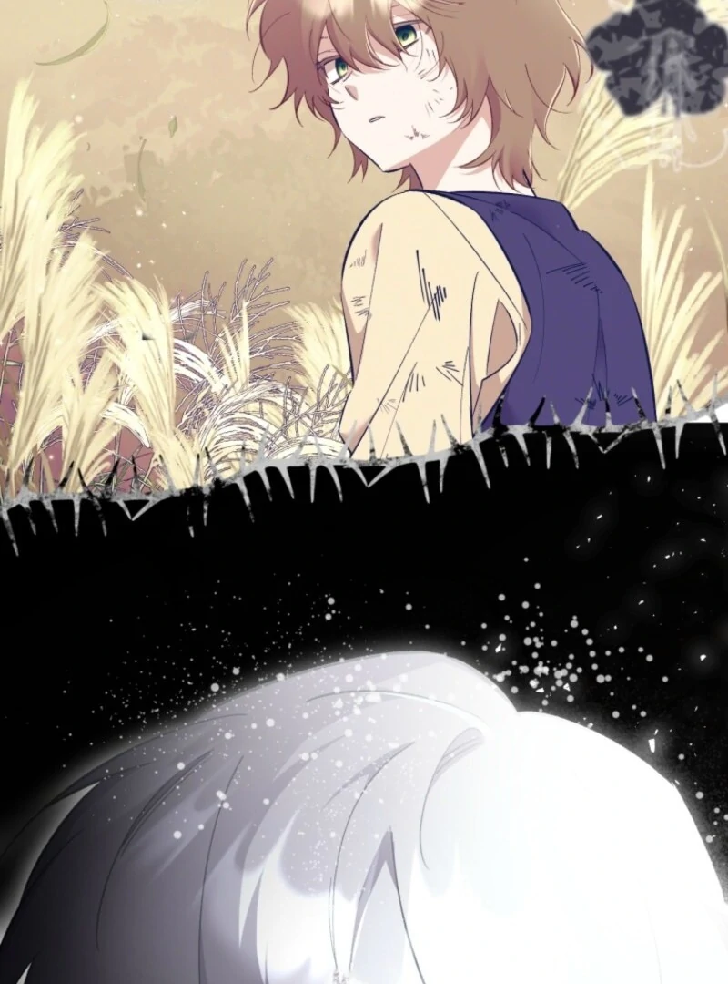 050