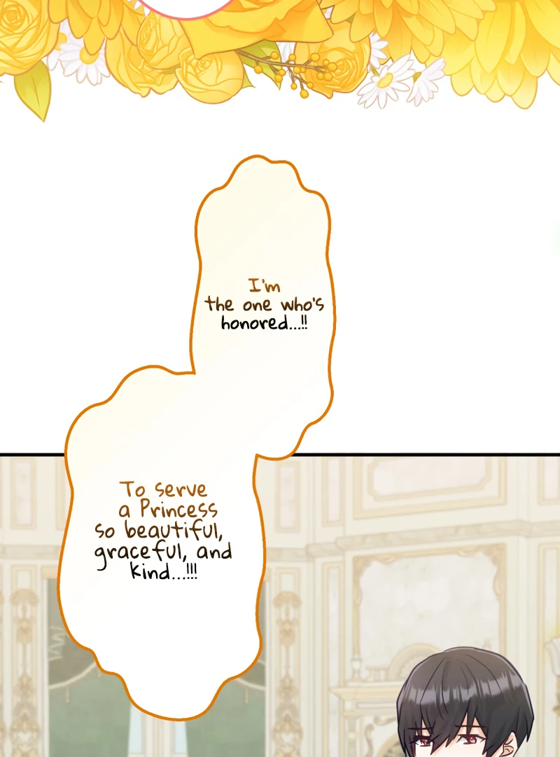 ch 24 16
