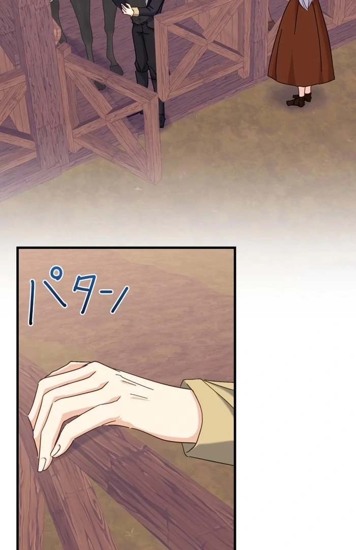 ch 28 24