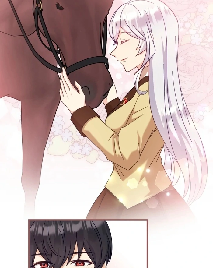 ch 28 27
