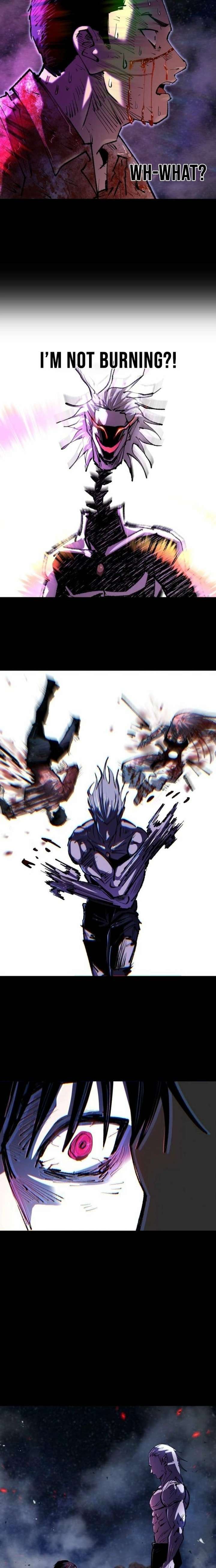ch 50 19