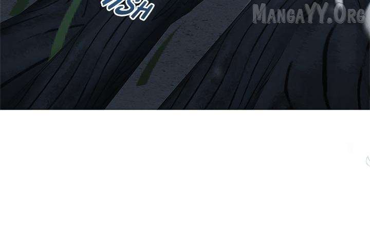 ch 66 19
