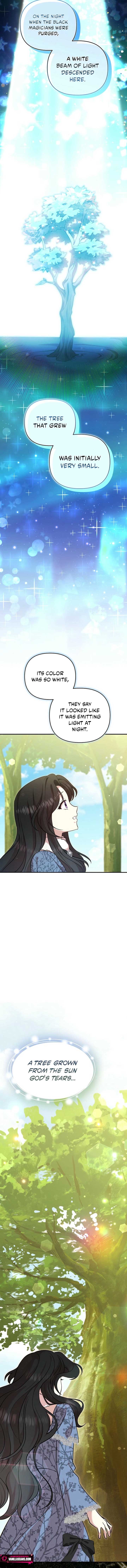 ch 17 11