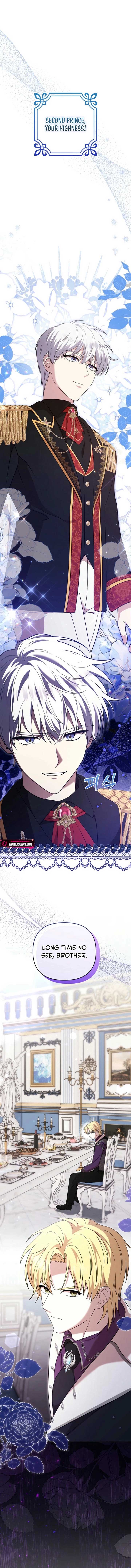 ch 18 1