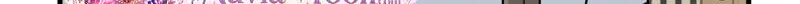 2f5bc36e88ff
