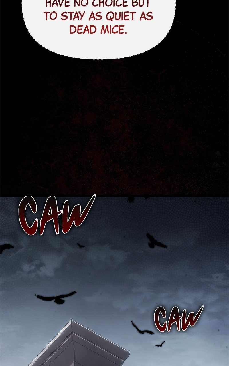 ch 1 17