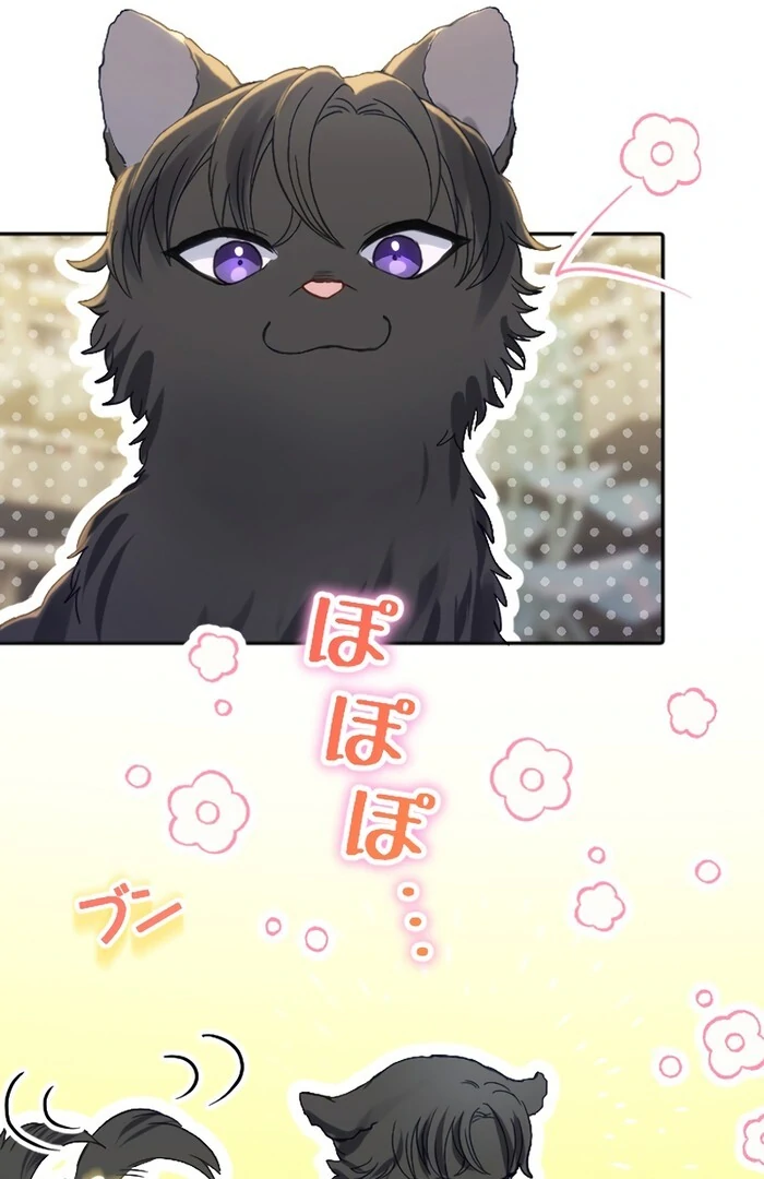 ch 26 11