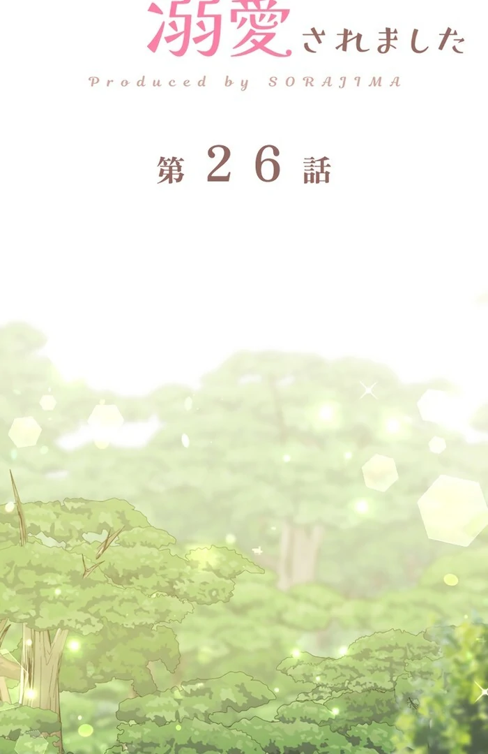 ch 26 17