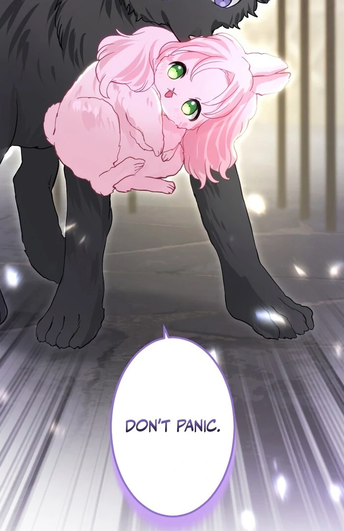 ch 26 2