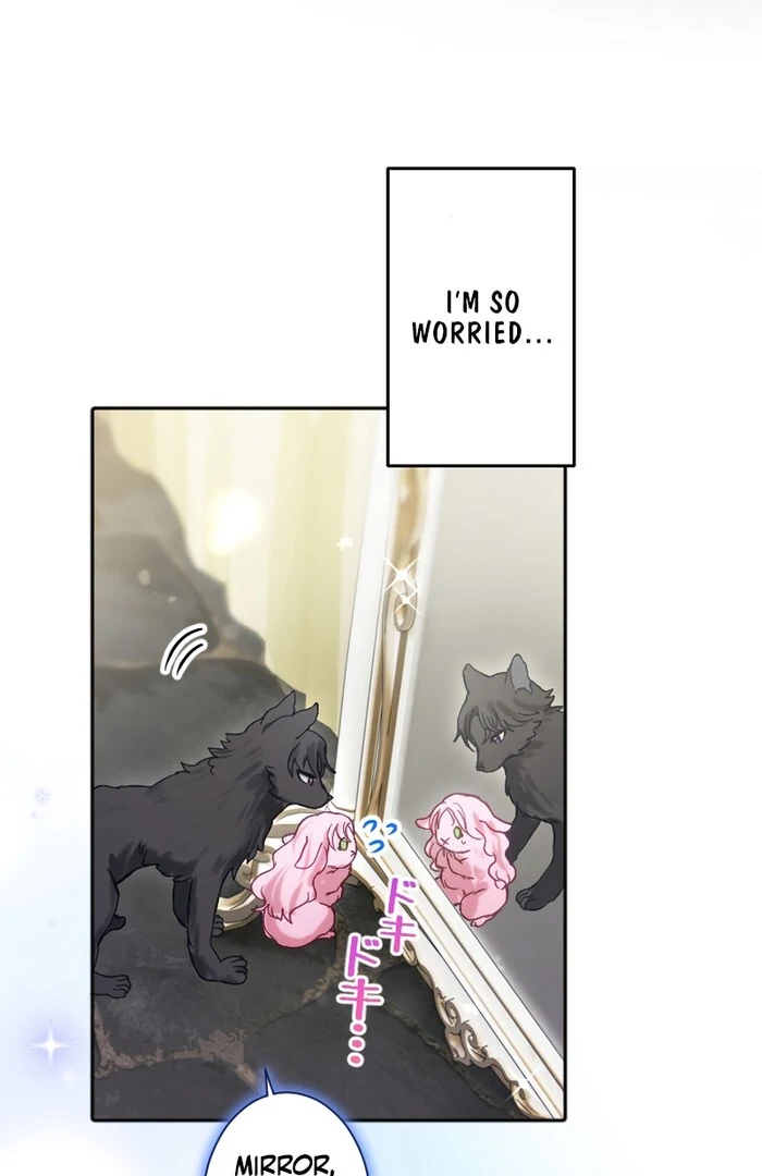 ch 26 5