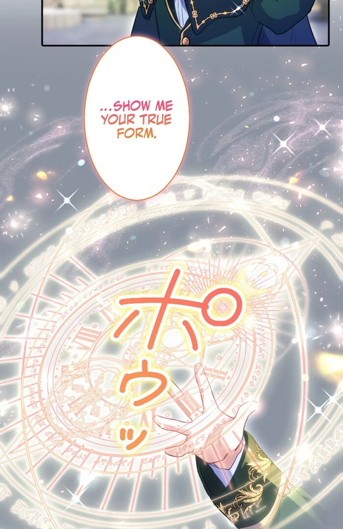 ch 26 86