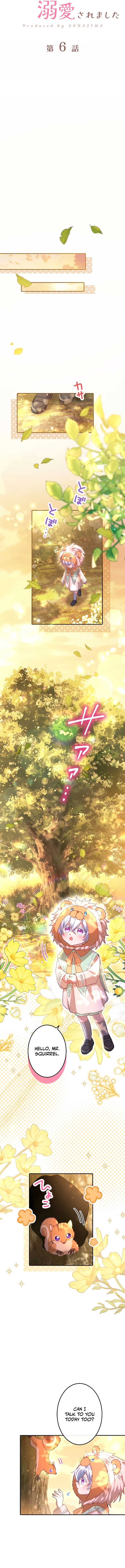 ch 6 5