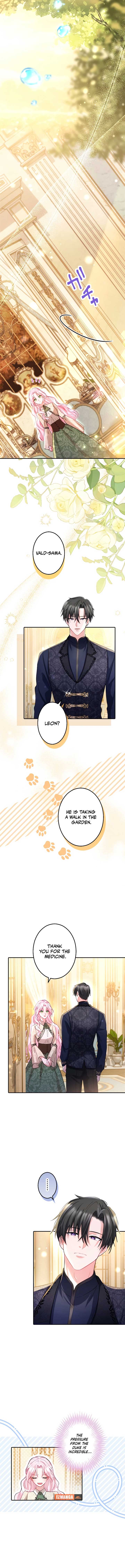 ch 6 8