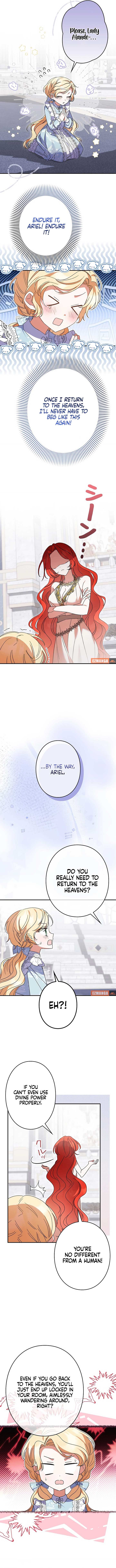 ch 16 8