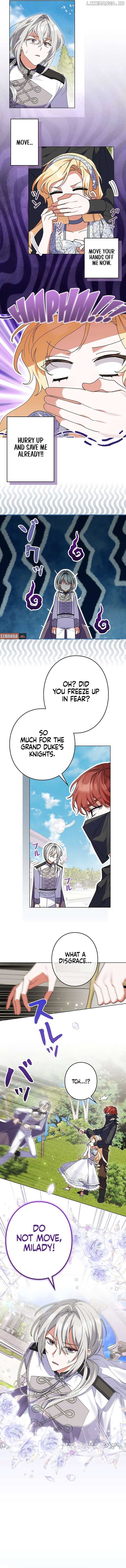 ch 23 2