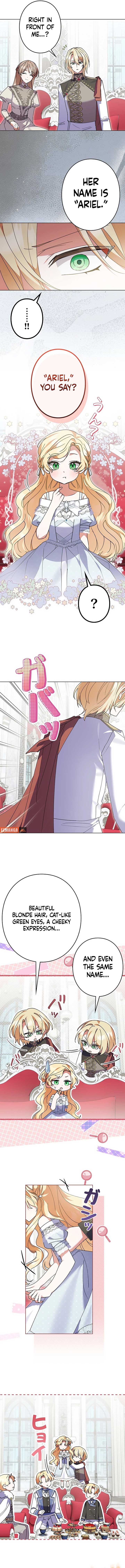 ch 24 10