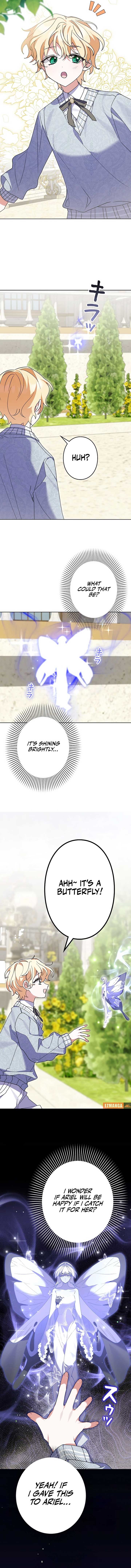 ch 25 11