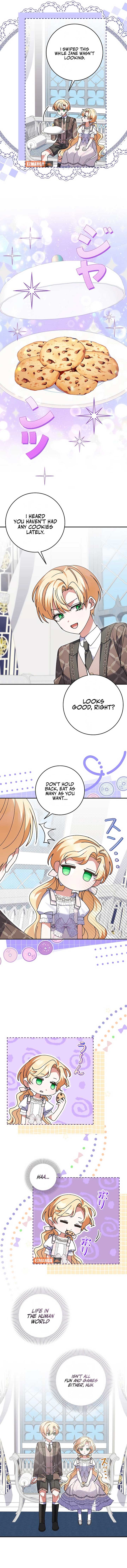 ch 29 6