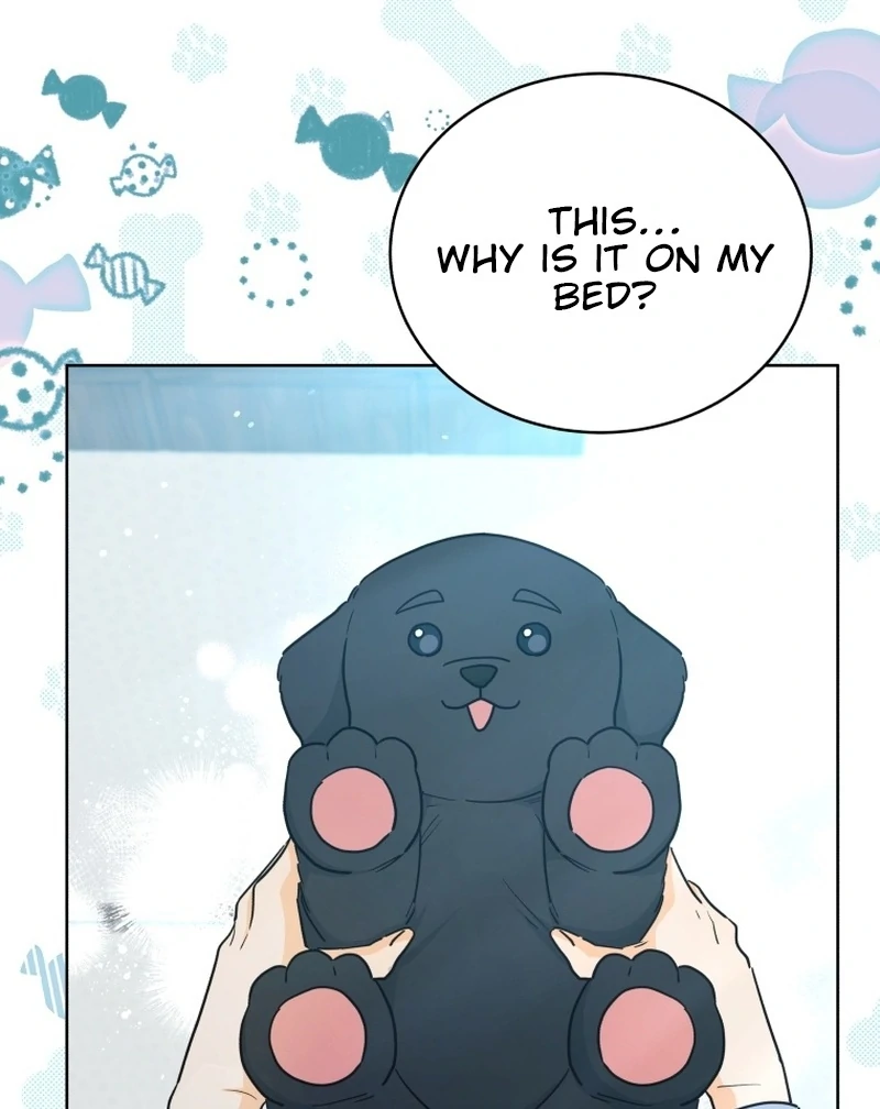 ch 22 71