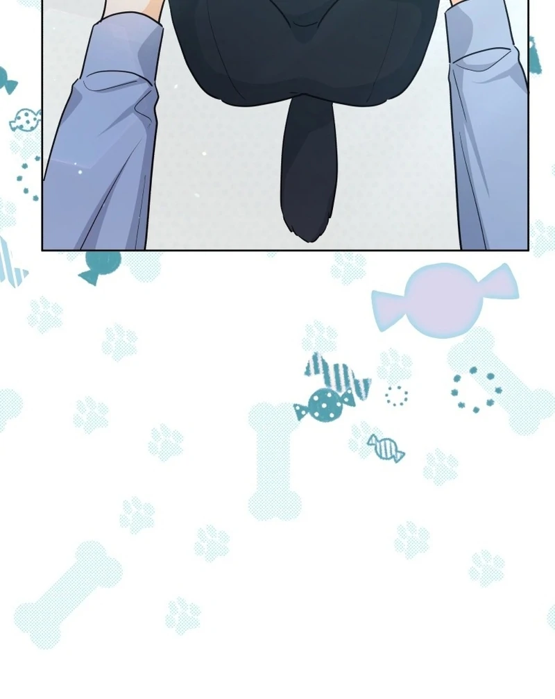 ch 22 72