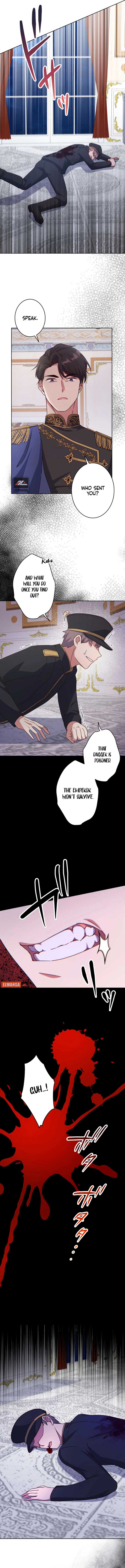 ch 5 6