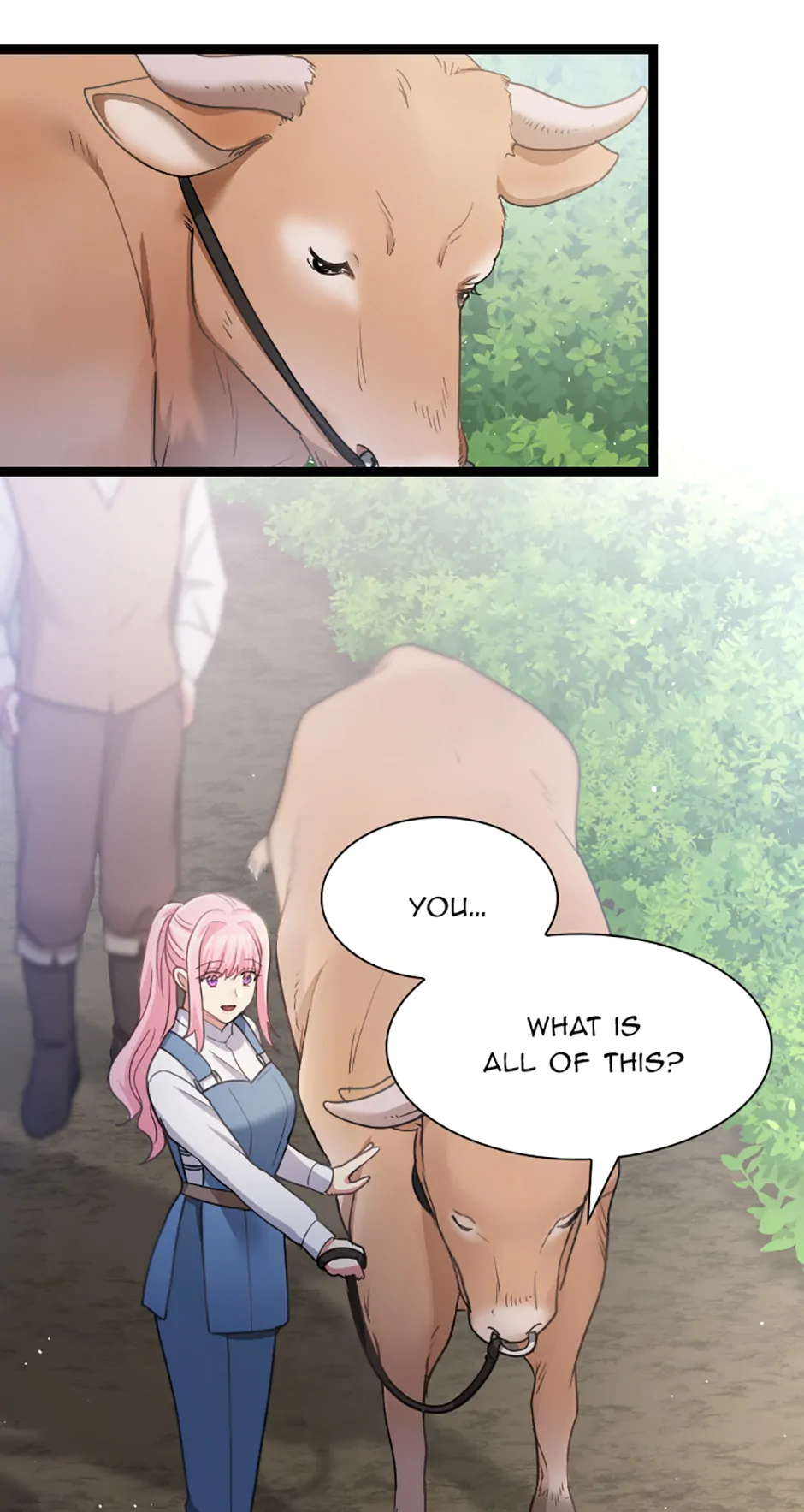61