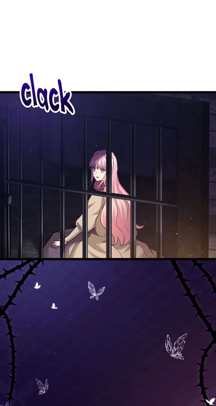 ch 79 65