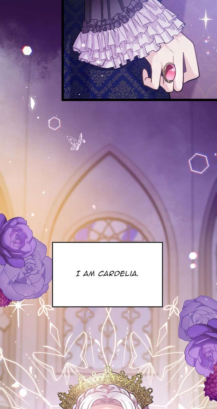 ch 80 46