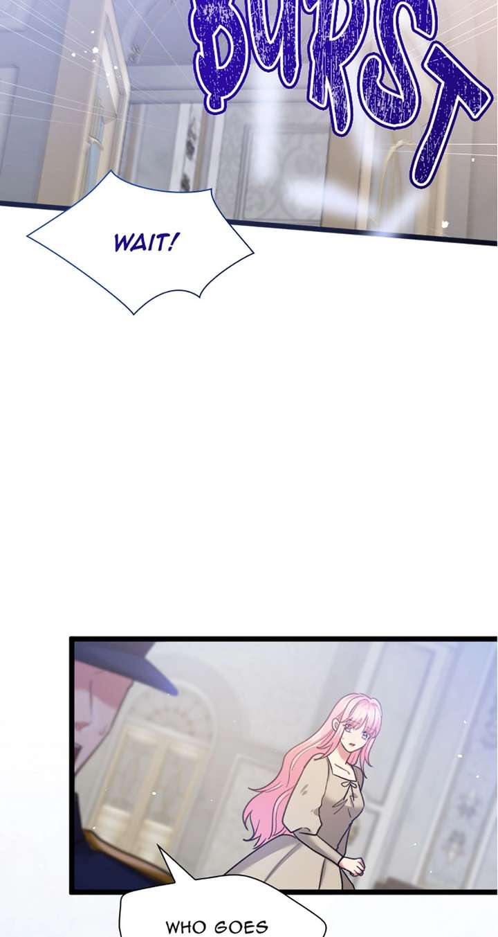 ch 81 3