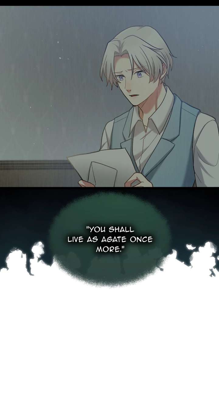 ch 81 50