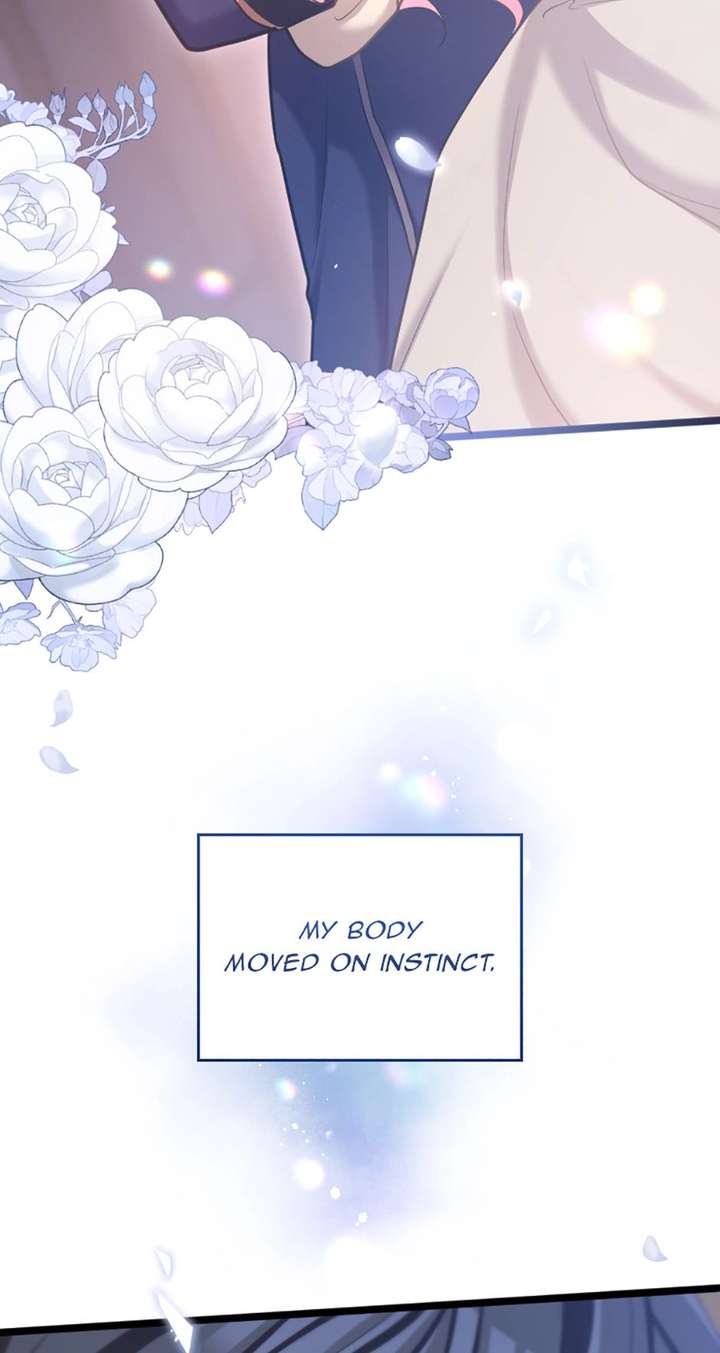 ch 81 81