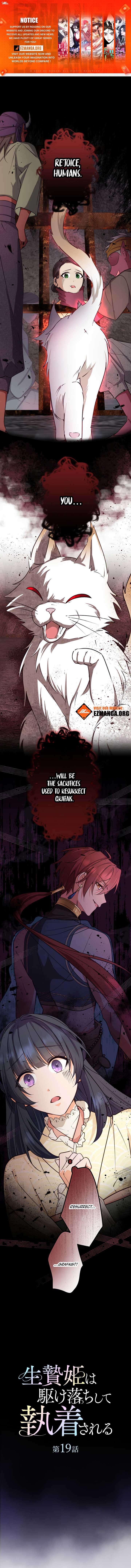 ch 19 1