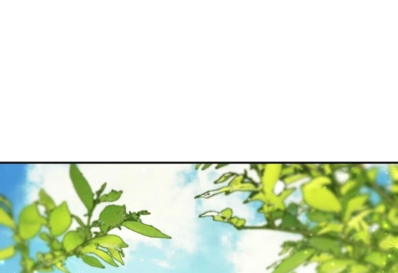 ch 36 81