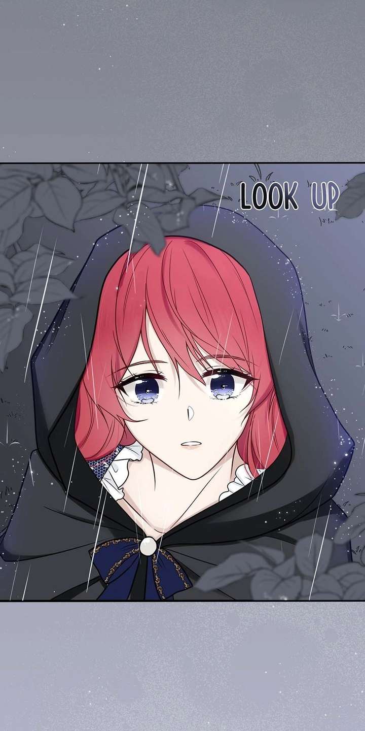 ch 11 15