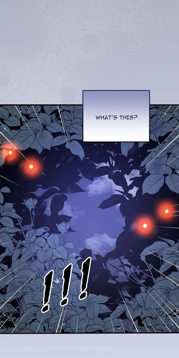 ch 11 16