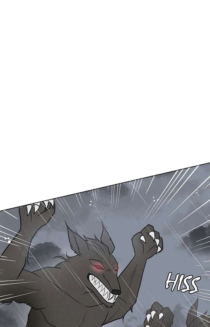 ch 11 19