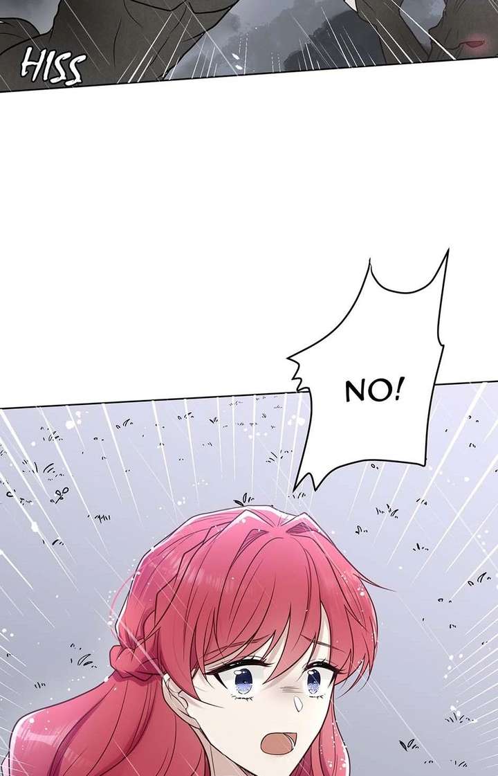 ch 11 20