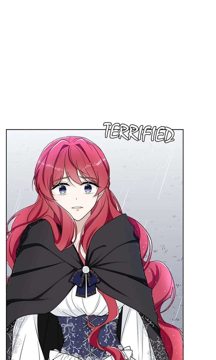 ch 11 36
